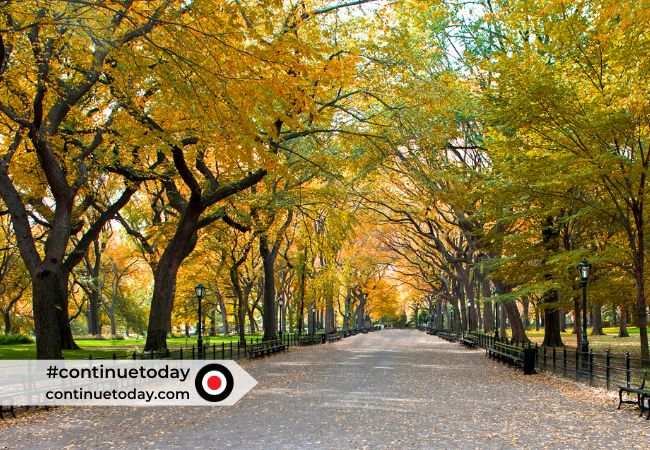 Best Times to Travel New York