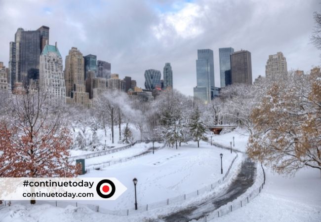 New York Weather Forecast