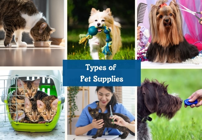 Different types of pet supplies