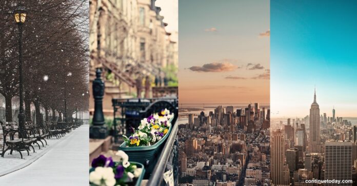 Different places in different seasons in NYC