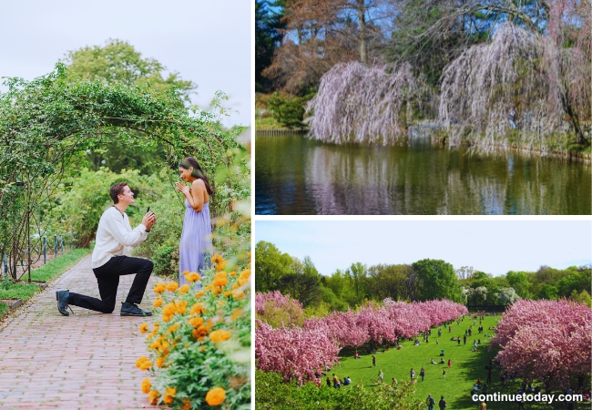 Brooklyn Botanic Garden in NYC
