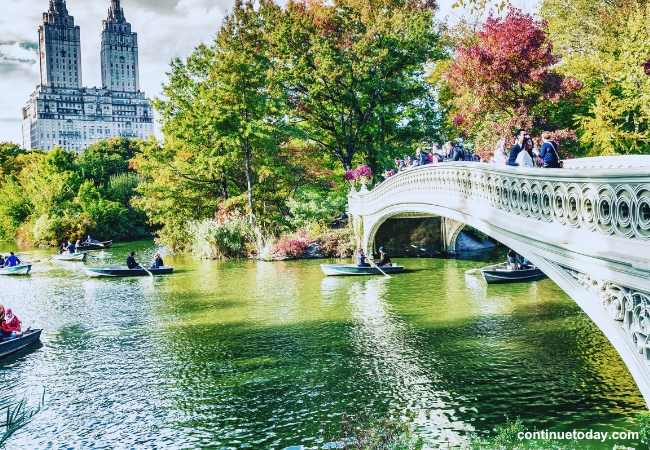 Central Park in NYC