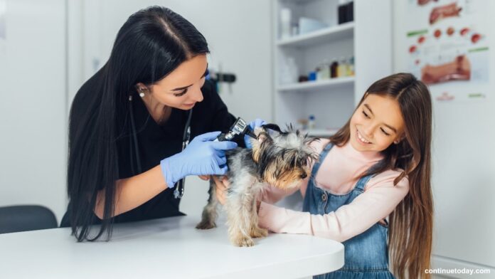 A little girl holding a dog and a female vet checking the dogs ear