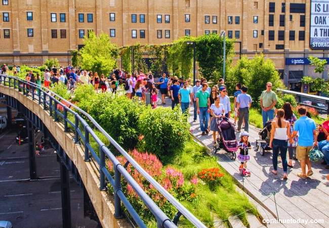 The High Line in NYC