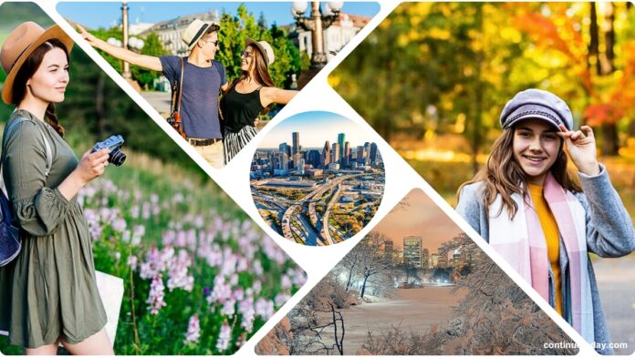 Best Seasons to Visit in Houston