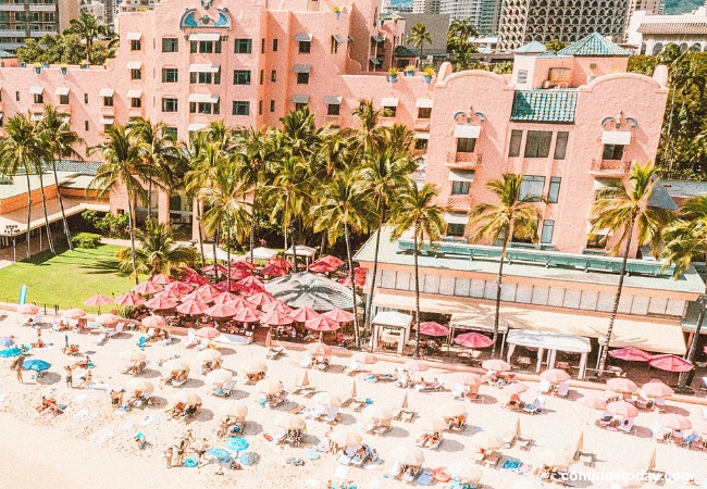 Beach Bum at Waikiki Beach