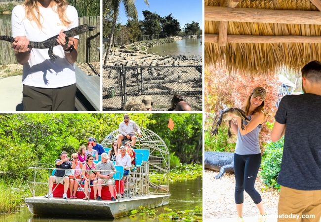 Everglades National Park