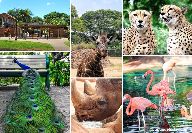 Honolulu Zoo