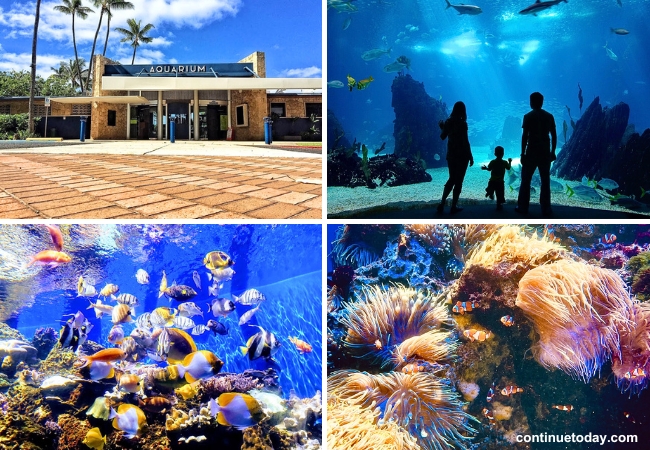 Waikiki Aquarium