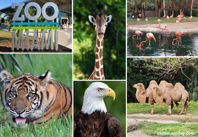 Zoo Miami